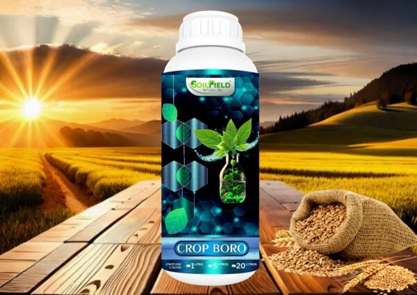 CROP BORO