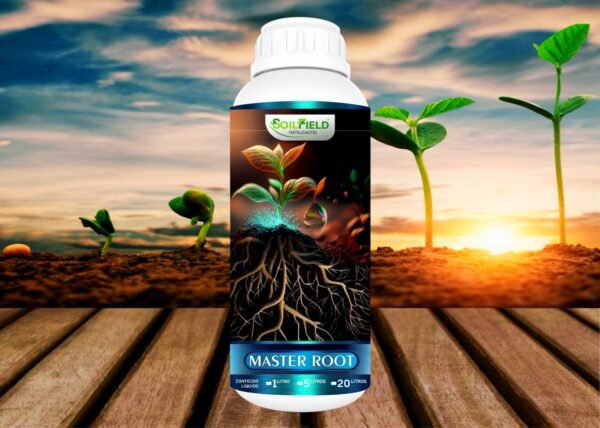 MASTER ROOT