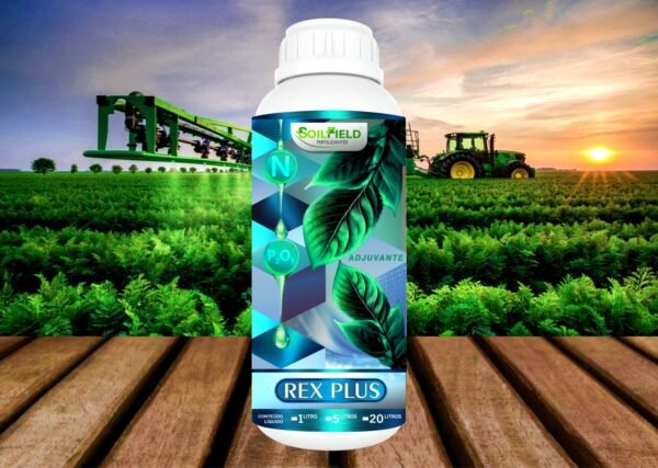 REX PLUS