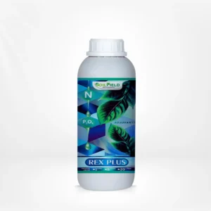 REX PLUS